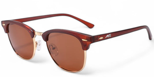 Ms Lifestyle Solaris