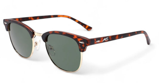 Ms Lifestyle Solaris