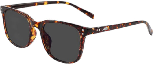 MS Lifestyle Stellar