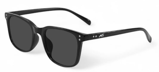 MS Lifestyle Stellar