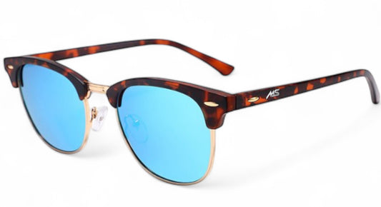 Ms Lifestyle Solaris