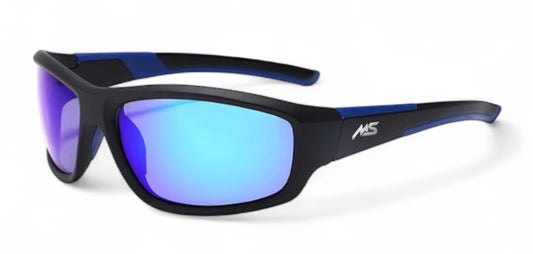 Ms Sport Summit